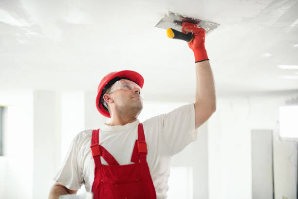 Best Drywall Removal and Disposal  in Brogden, NC