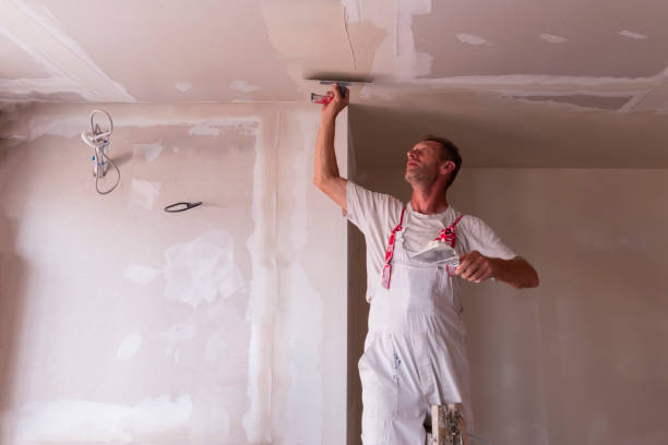 Best Drywall Crack Repair  in Brogden, NC